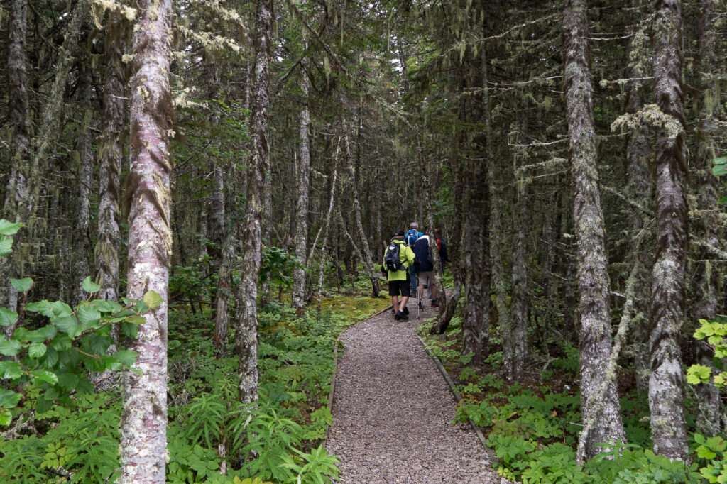 Sentier dans la forêt - écosystème de l'archipel Mingan