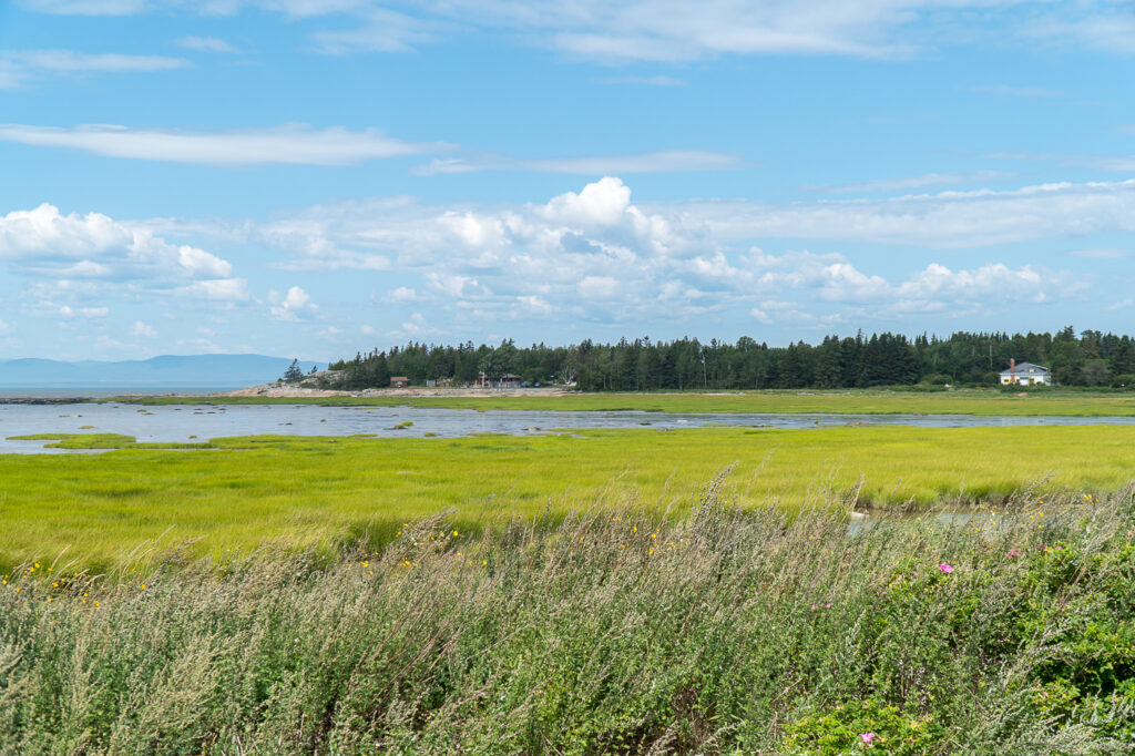 Marais Notre-Dame-du-Portage