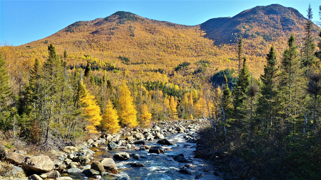 Parc national de la Gaspésie