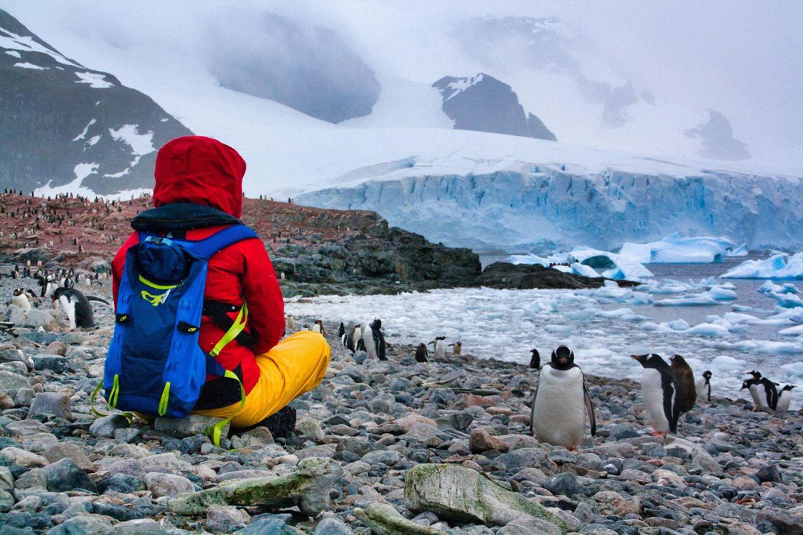 Arianne avec les pingouins de l'Antarctique