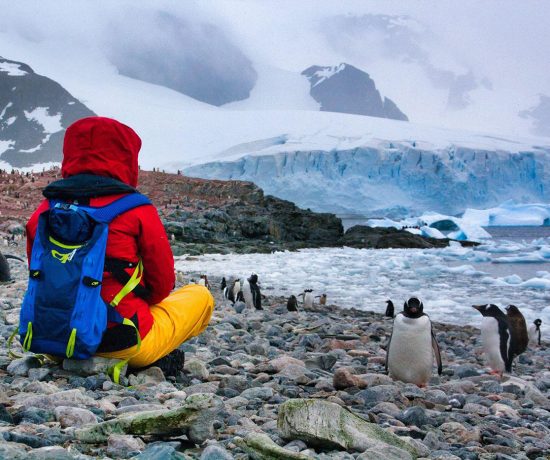 Arianne avec les pingouins de l'Antarctique