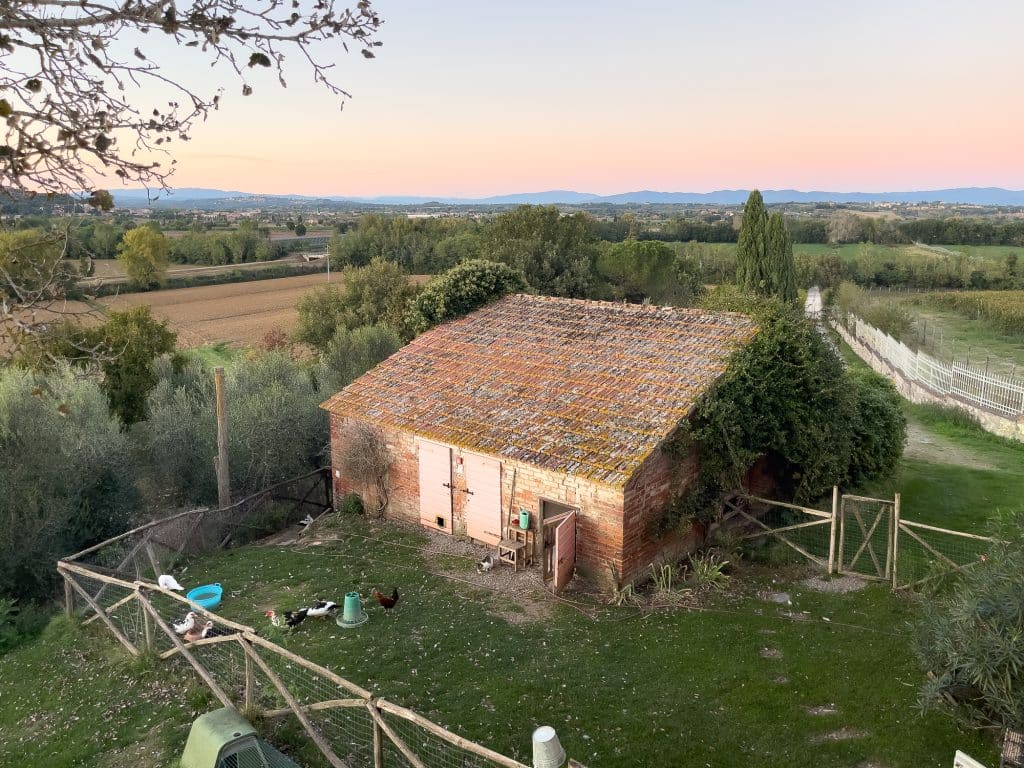 Ferme avec animaux Siena House