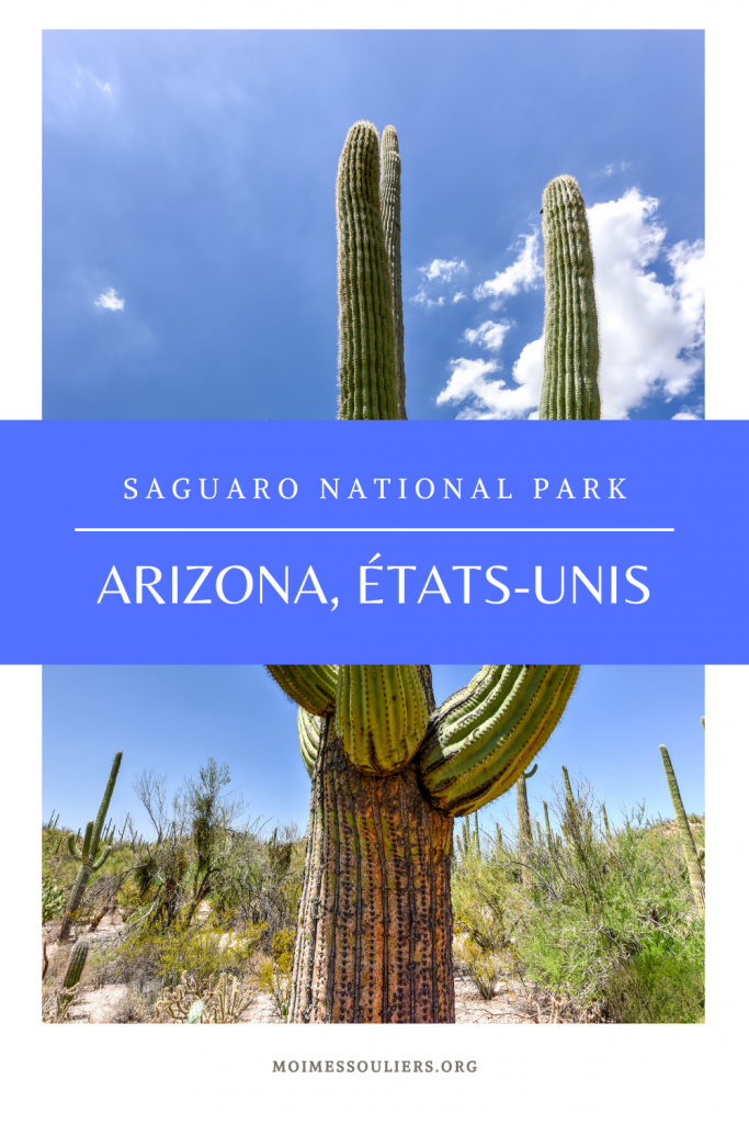 Visiter Saguaro National Park en Arizona, États-Unis