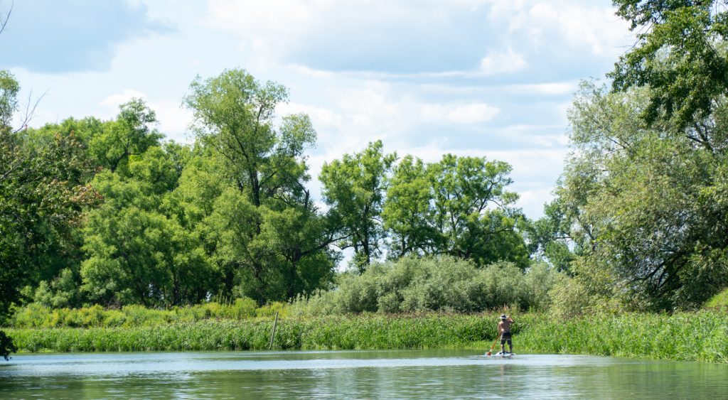 Kayak et stand-up paddle dans le marais de Sorel