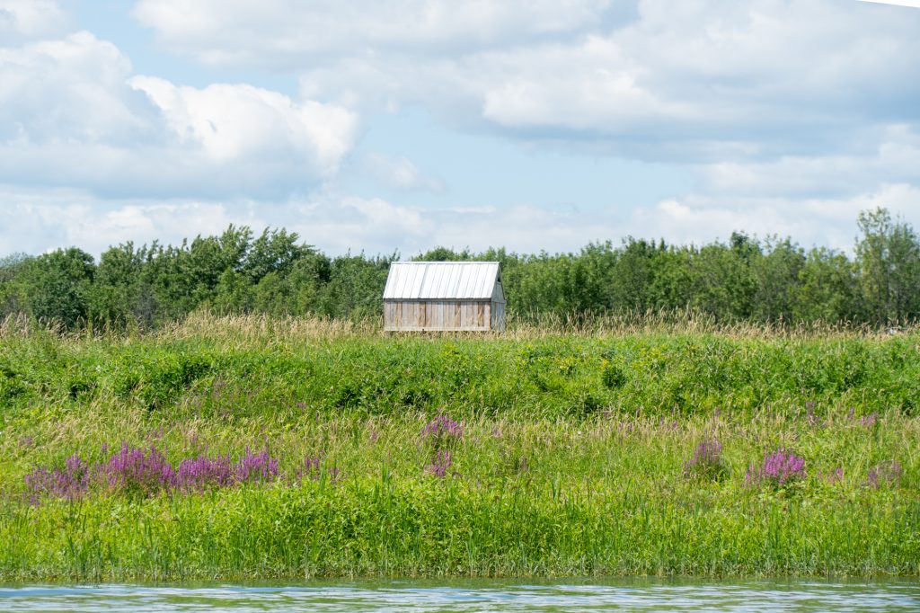 Maison dans le marais de l'archipel