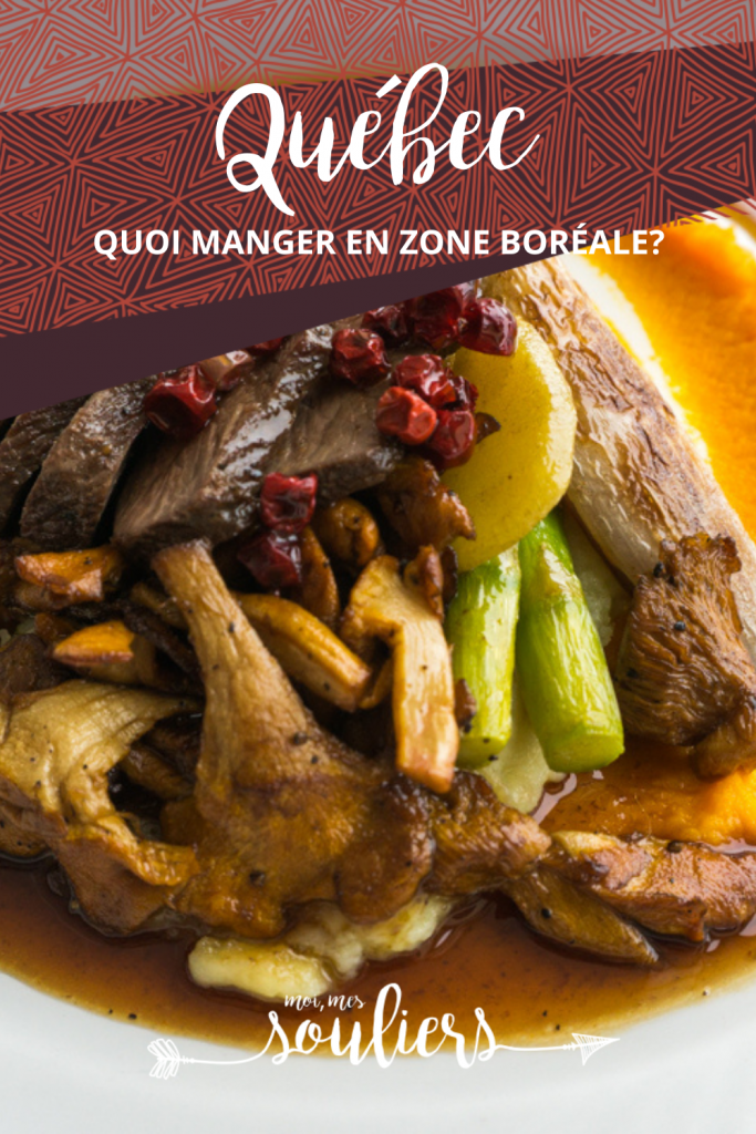 Quoi manger en zone boréale au Québec