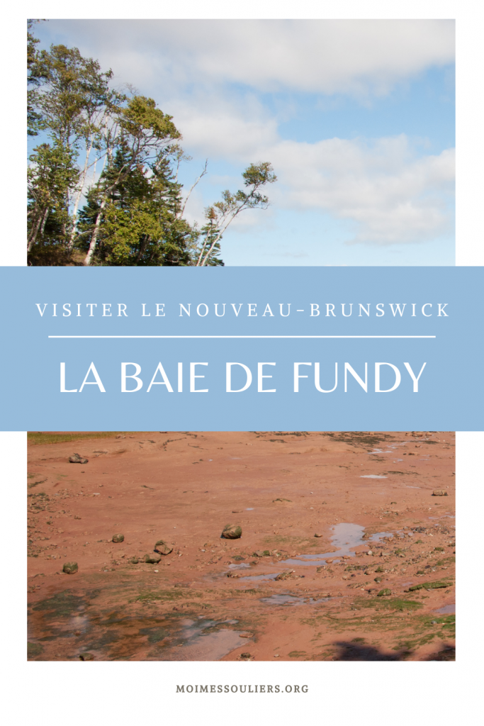 Visiter la Baie de Fundu au Nouveau-Brunswick