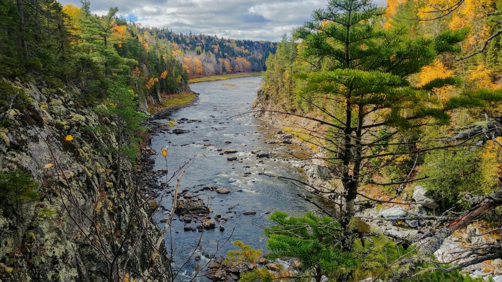 Sentier Nepisiguit Migmaq par Arpenter le chemin