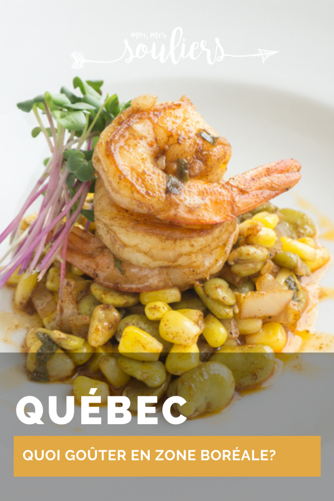Quoi goûter en zone boréale au Québec?