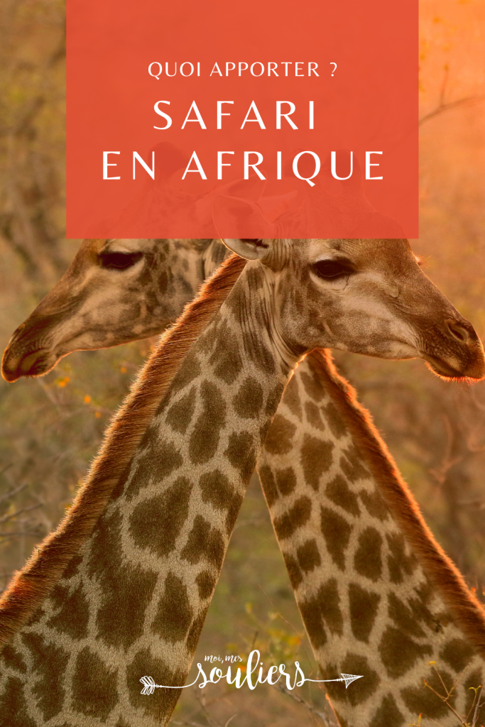 Quoi apporter pour un safari en Afrique