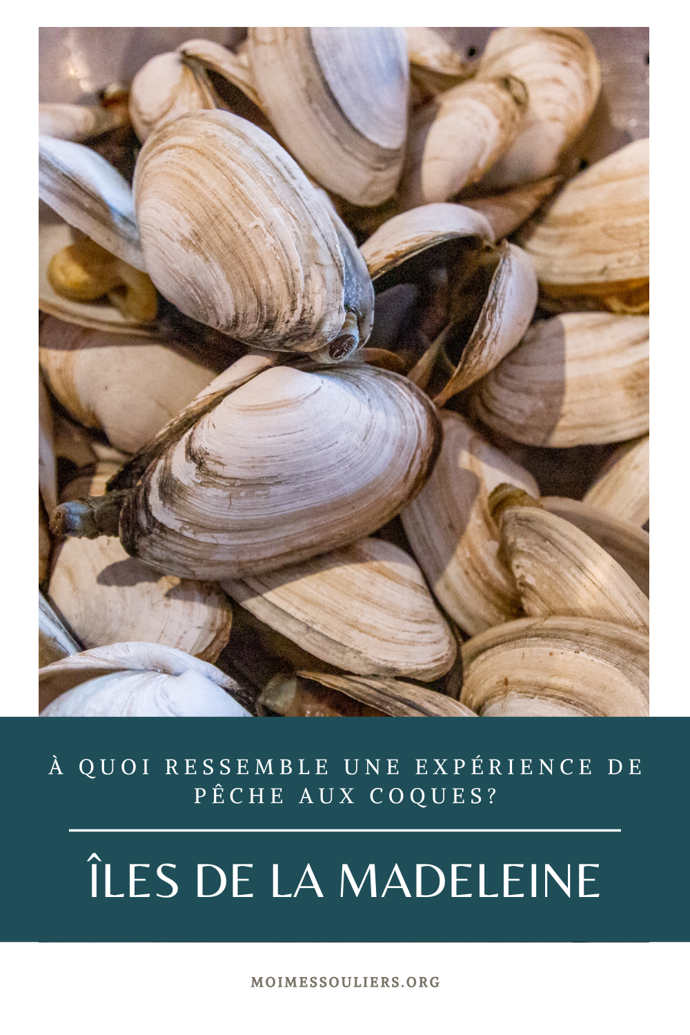 À quoi ressemble une expérience de pêche aux coques aux Îles de la Madeleine?