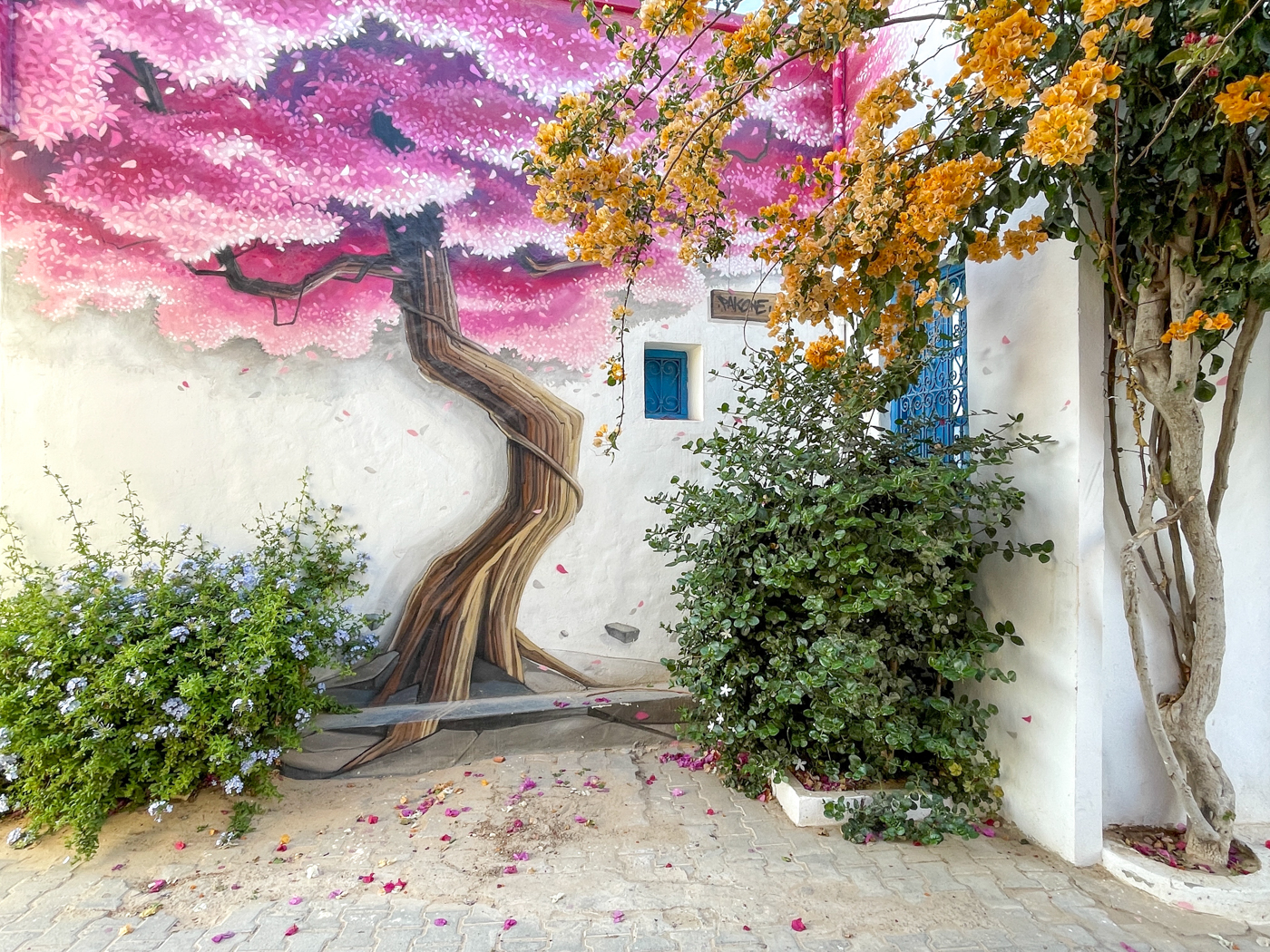 Arbre en street art - Quoi faire à Djerba