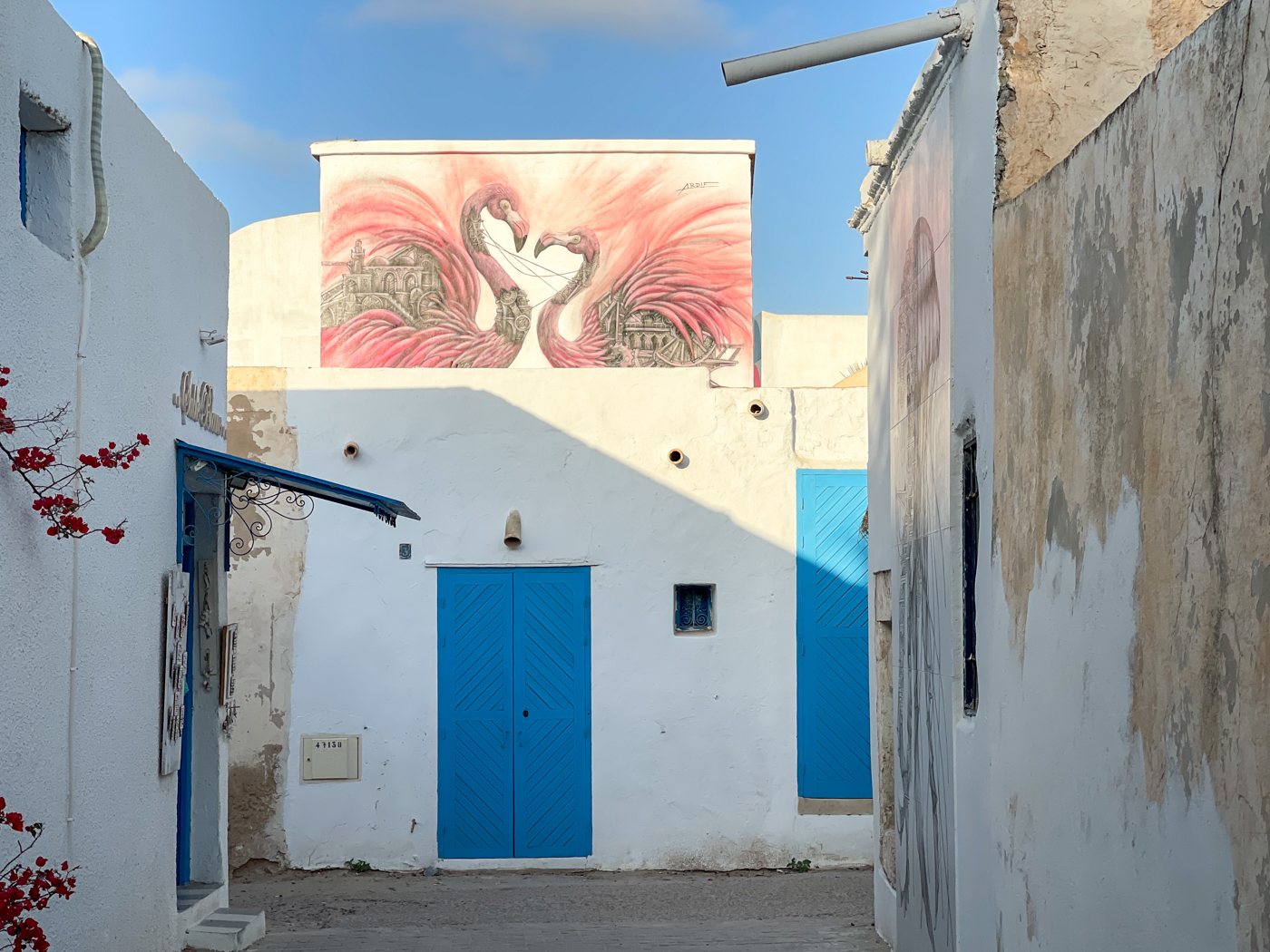 Flamands roses au village d'Erriadh sur l'île de Djerba