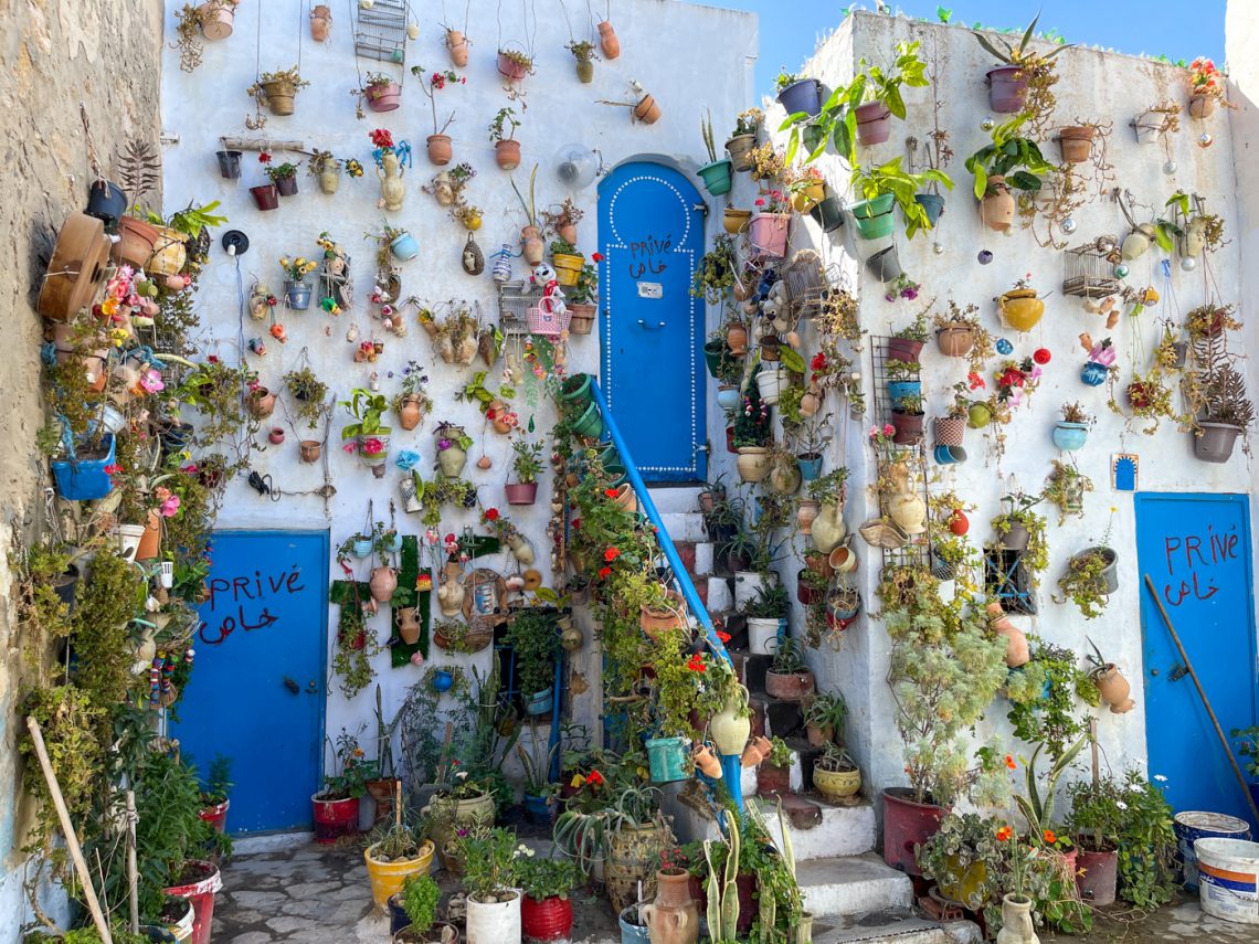 Jardin à Hammamet rempli de plantes