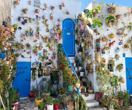 Jardin à Hammamet rempli de plantes