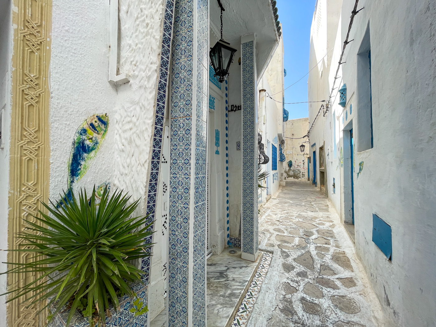 Poissons de street art - Hammamet en Tunisie