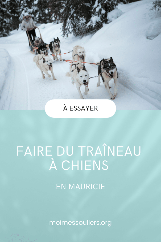 Faire du traîneau à chiens en Mauricie, Québec