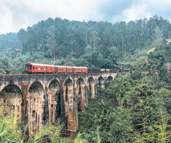 Voyager au Sri Lanka en 2023 par Tongs et Sri Lanka