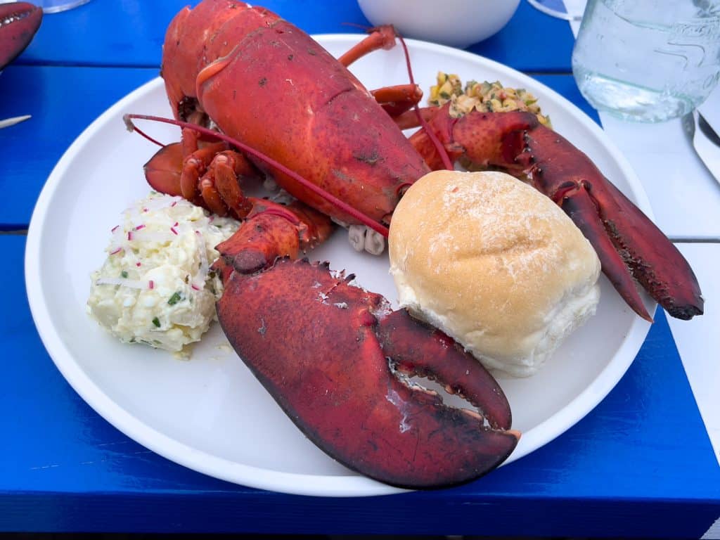 Assiette de homard bouilli - SeaRoots