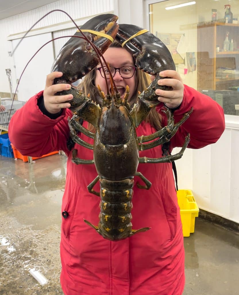 Jennifer qui tient un homard de 16kg à l'usine Fisher Direct