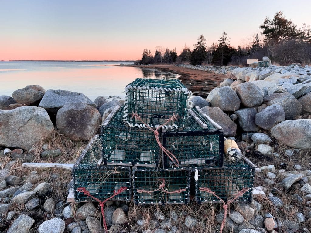 Marche au coucher de soleil à Barrington