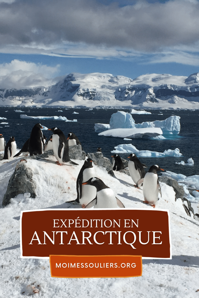 Expédition en Antarctique