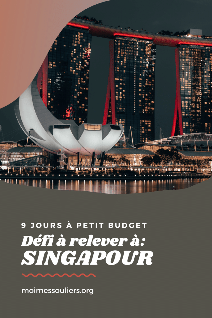 Défi à relever: 9 jours à petit budget à Singapour