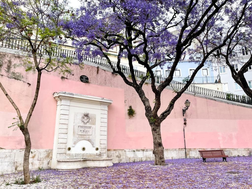 Beautés lilas du quartier Alfama en visite guidée gratuite à Lisbonne