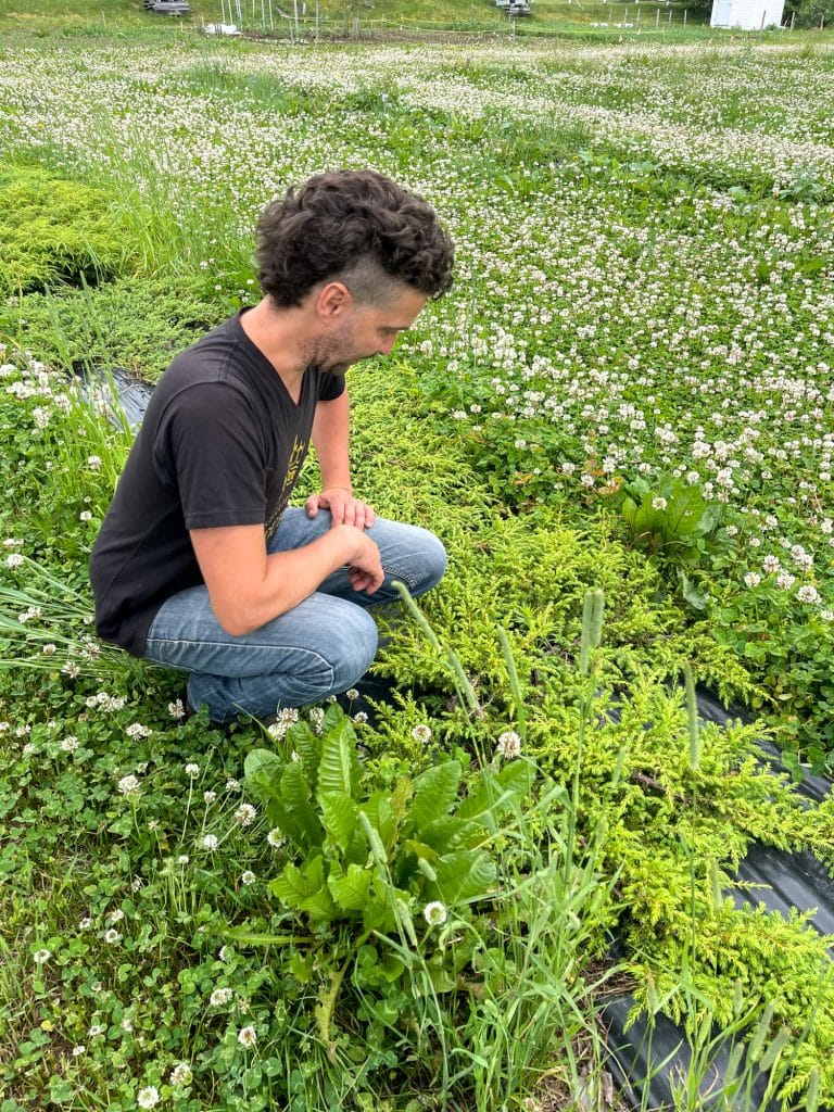 Jonathan. de la distillerie Fils du Roy, dans les aromates