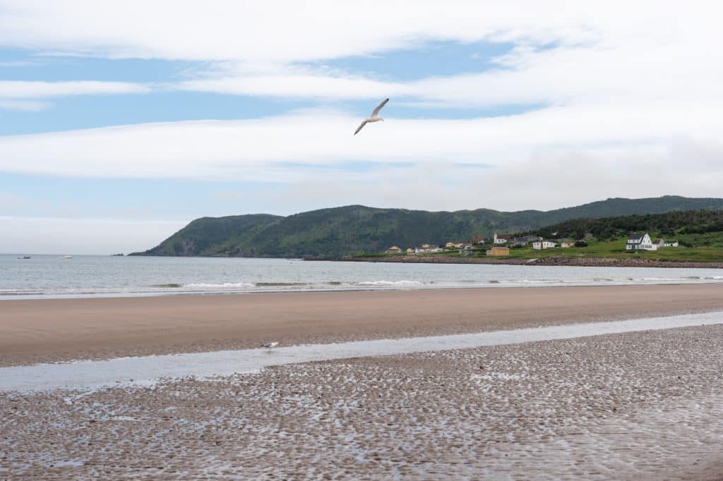 Plage de Langlade et dunes