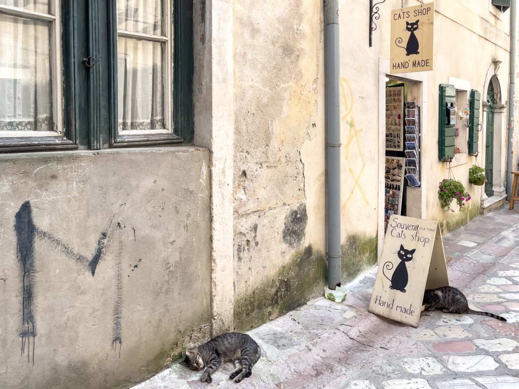 Ville des chats au Monténégro