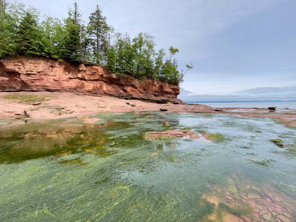 Falaises de la baie de Fundy en Nouvelle-Écosse