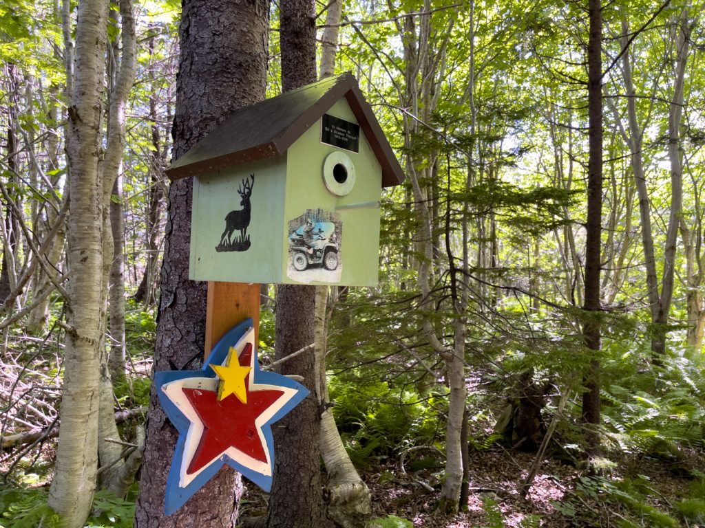 Cabane dans le sentier du Petit Bois