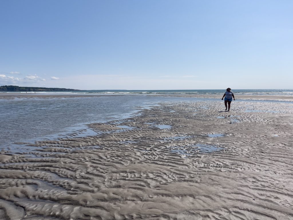 Plage Mavillette à marée basse