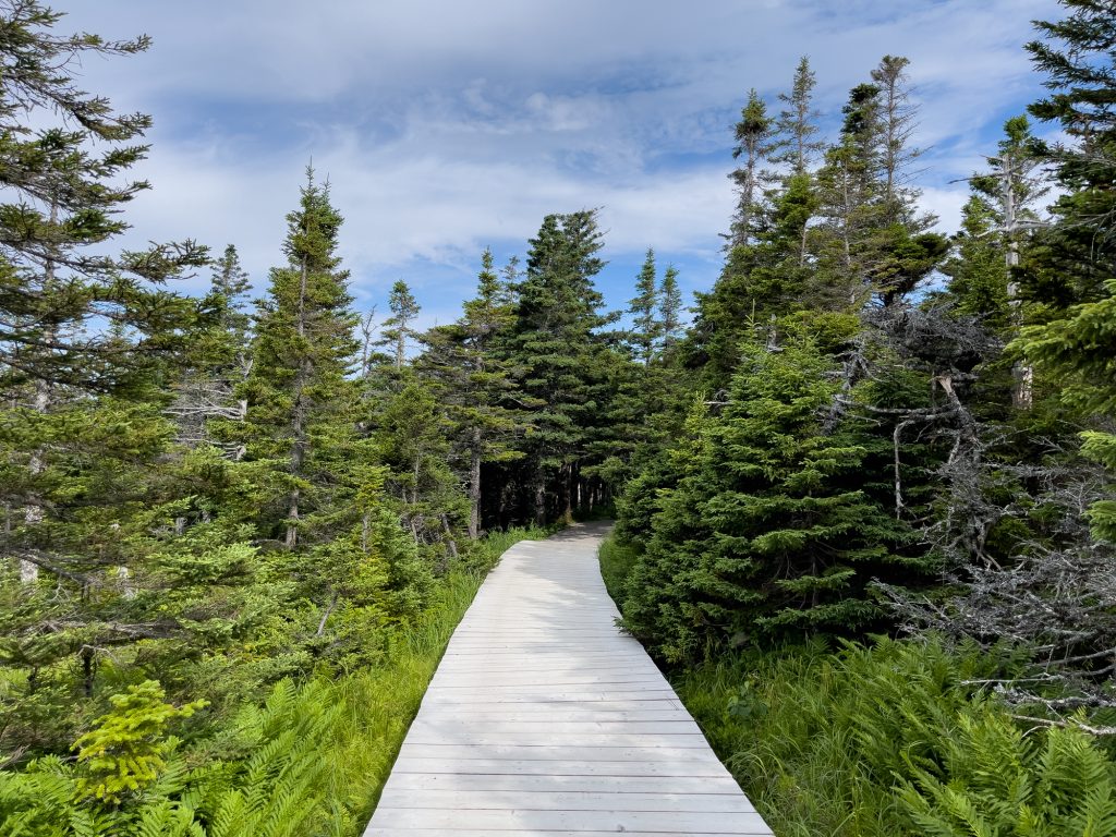 Chemin de la Skyline Trail