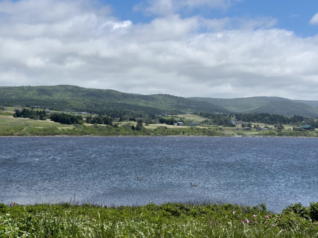 Paysage avant Chéticamp