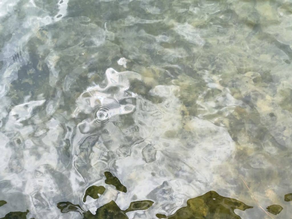 Eau volcanique à Cuicocha