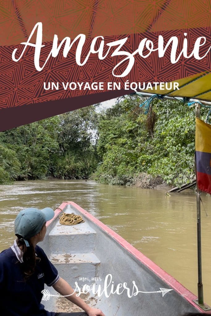 Amazonie d'Équateur en pin