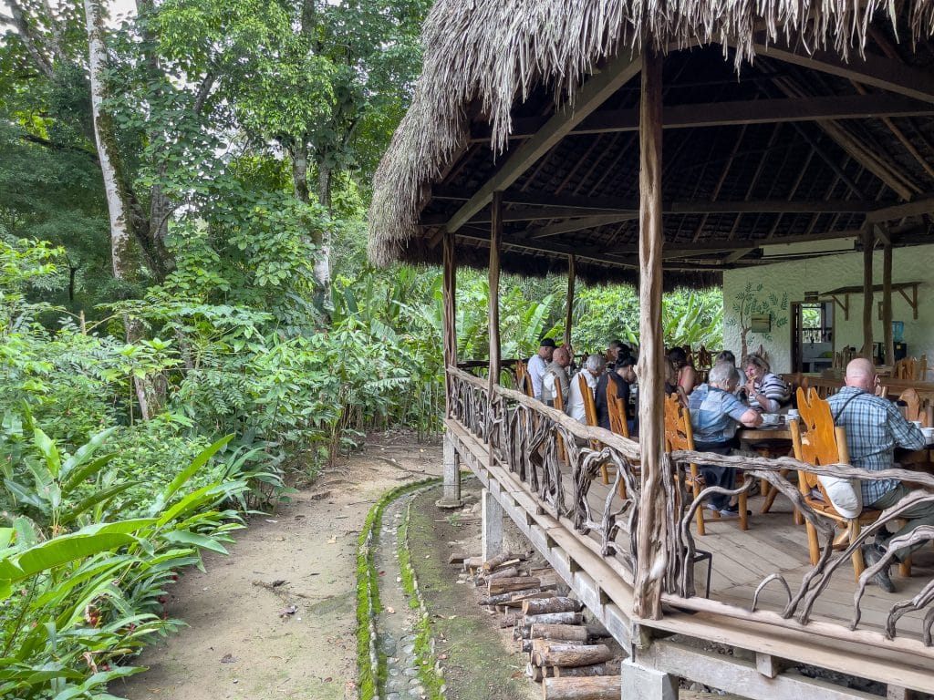 Espace commun dans la jungle