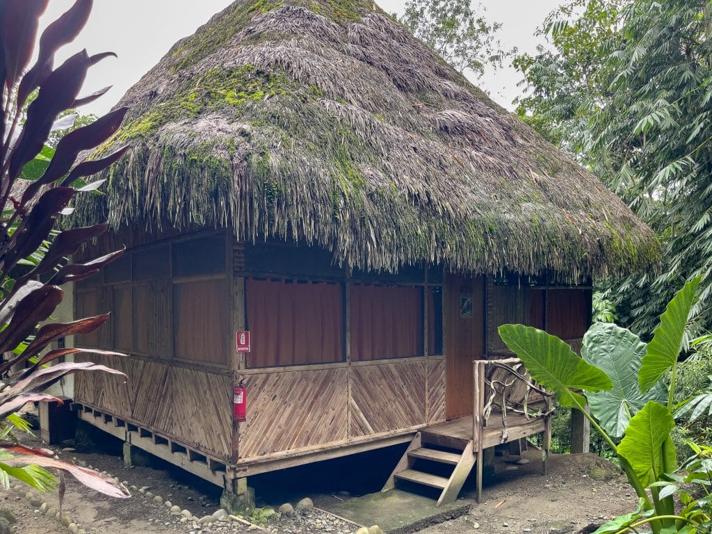 Huttes-bungalow - Hébergement écoresponsable en Amazonie, Équateur