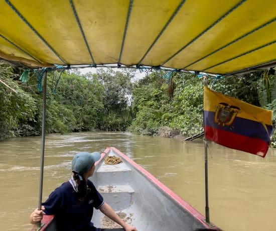 Pirogue sur le fleuve en Équateur