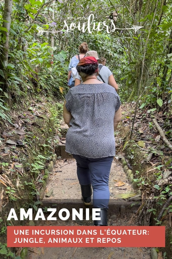 Pin: visiter l'Amazonie équatorienne