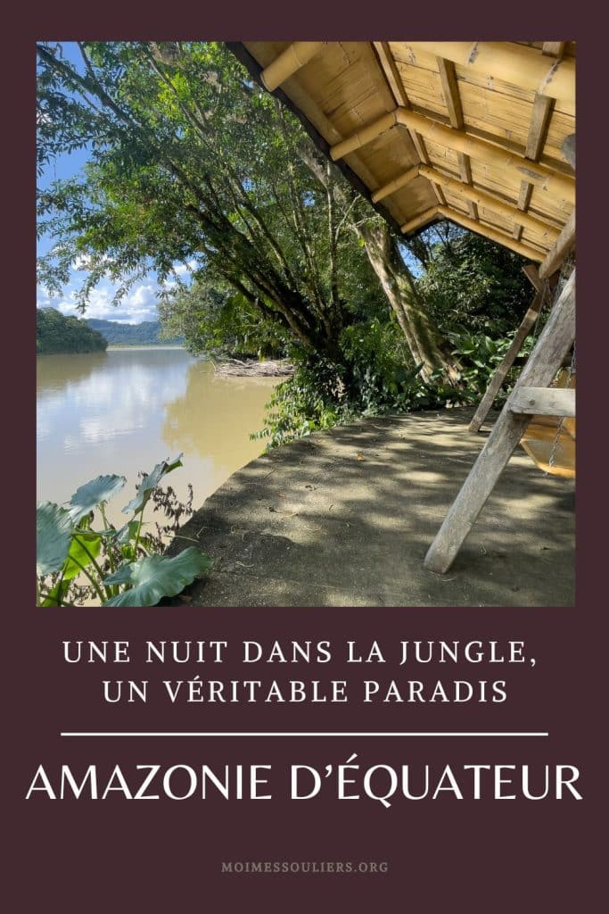 Voyage en Amazonie