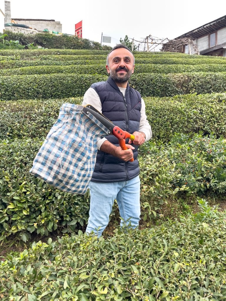 Fondateur de Çayeli à Çeçeva