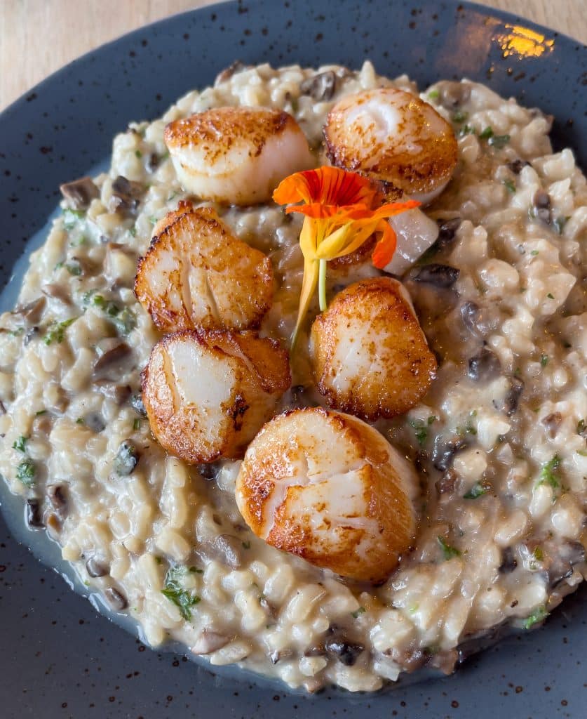 Risotto de pétoncles - Meilleurs restaurants aux îles de la Madeleine