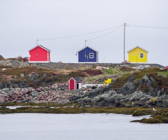 Maisons de 3 couleurs à Twillingate