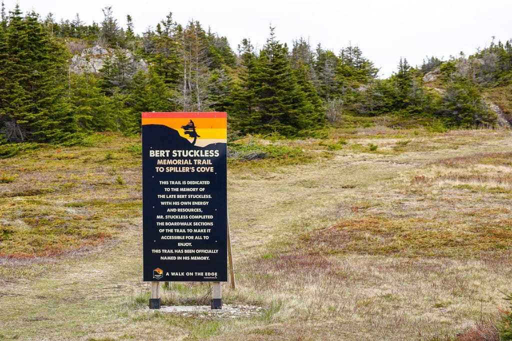 Rockcut Trails - Randonnées à Twillingate