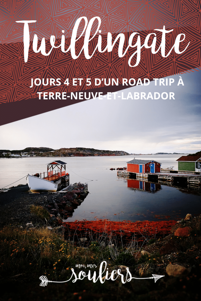Twillingate: Jour 3 et 4 d'un road trip à Terre-Neuve-et-Labrador