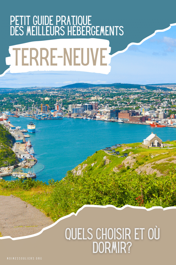 Guide pratique pour trouver les meilleurs hébergements à Terre-Neuve