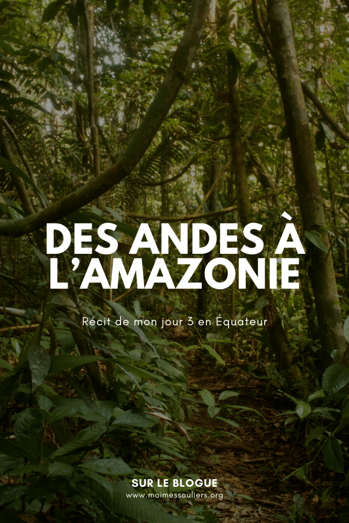 Voyage en Équateur, jour 3 d'un itinéraire des Andes à l'Amazonie